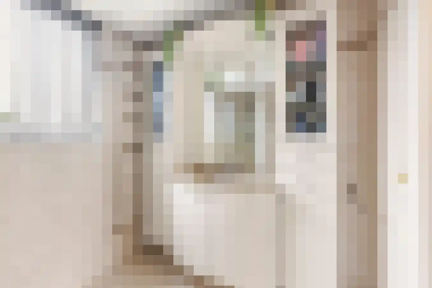 Prins Clausstraat 33 Houten thumbnail 31