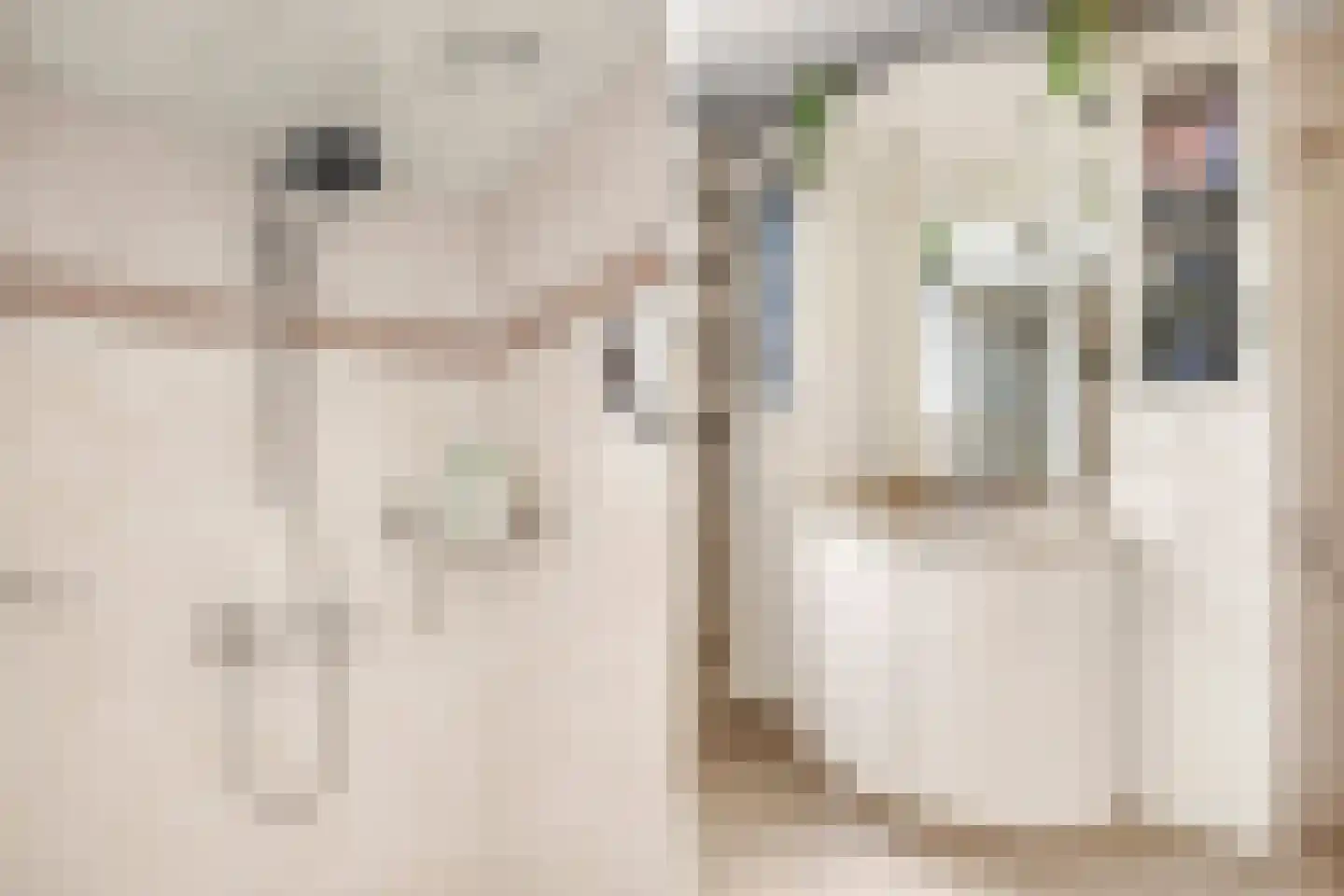 Prins Clausstraat 33 Houten thumbnail 32