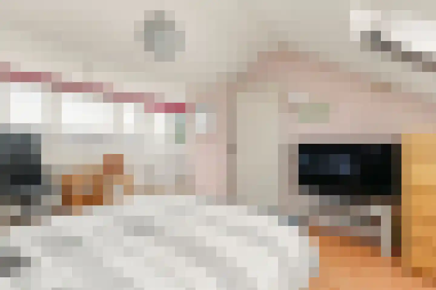 Prins Clausstraat 33 Houten thumbnail 39
