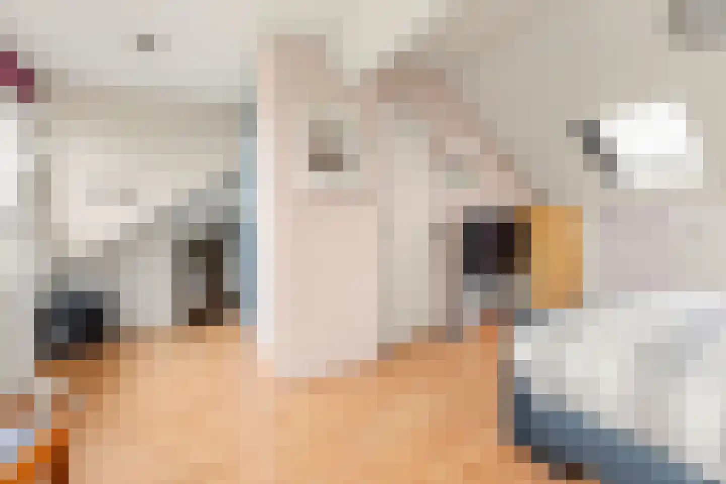 Prins Clausstraat 33 Houten thumbnail 40