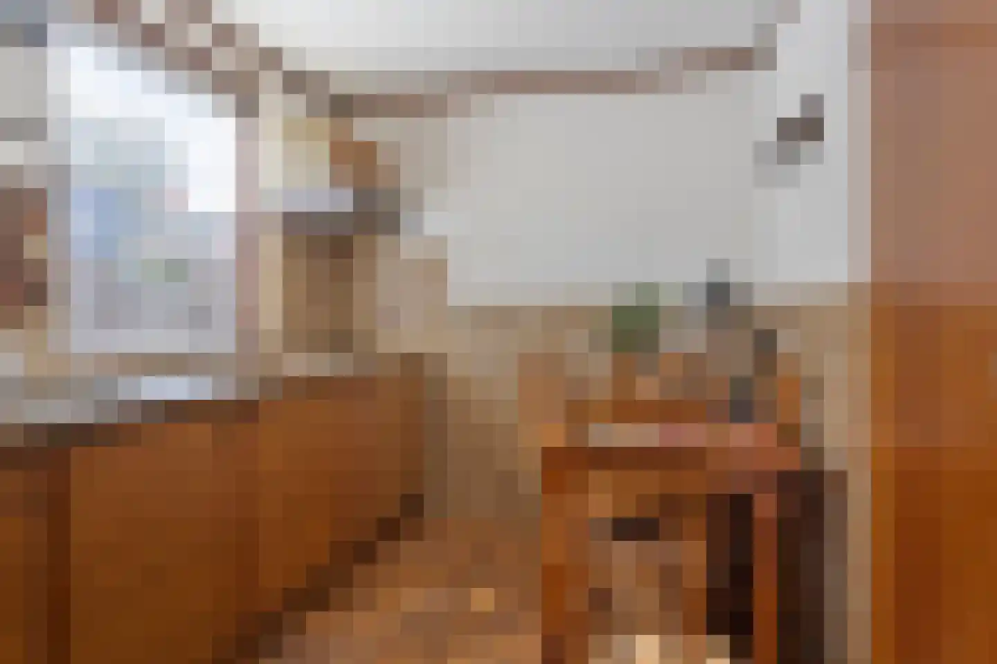 Prins Clausstraat 34 Vaassen thumbnail 10