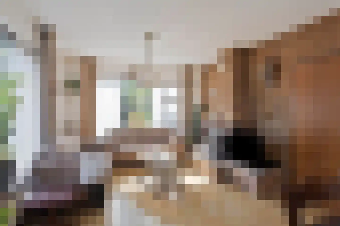 Prins Clausstraat 34 Vaassen thumbnail 6