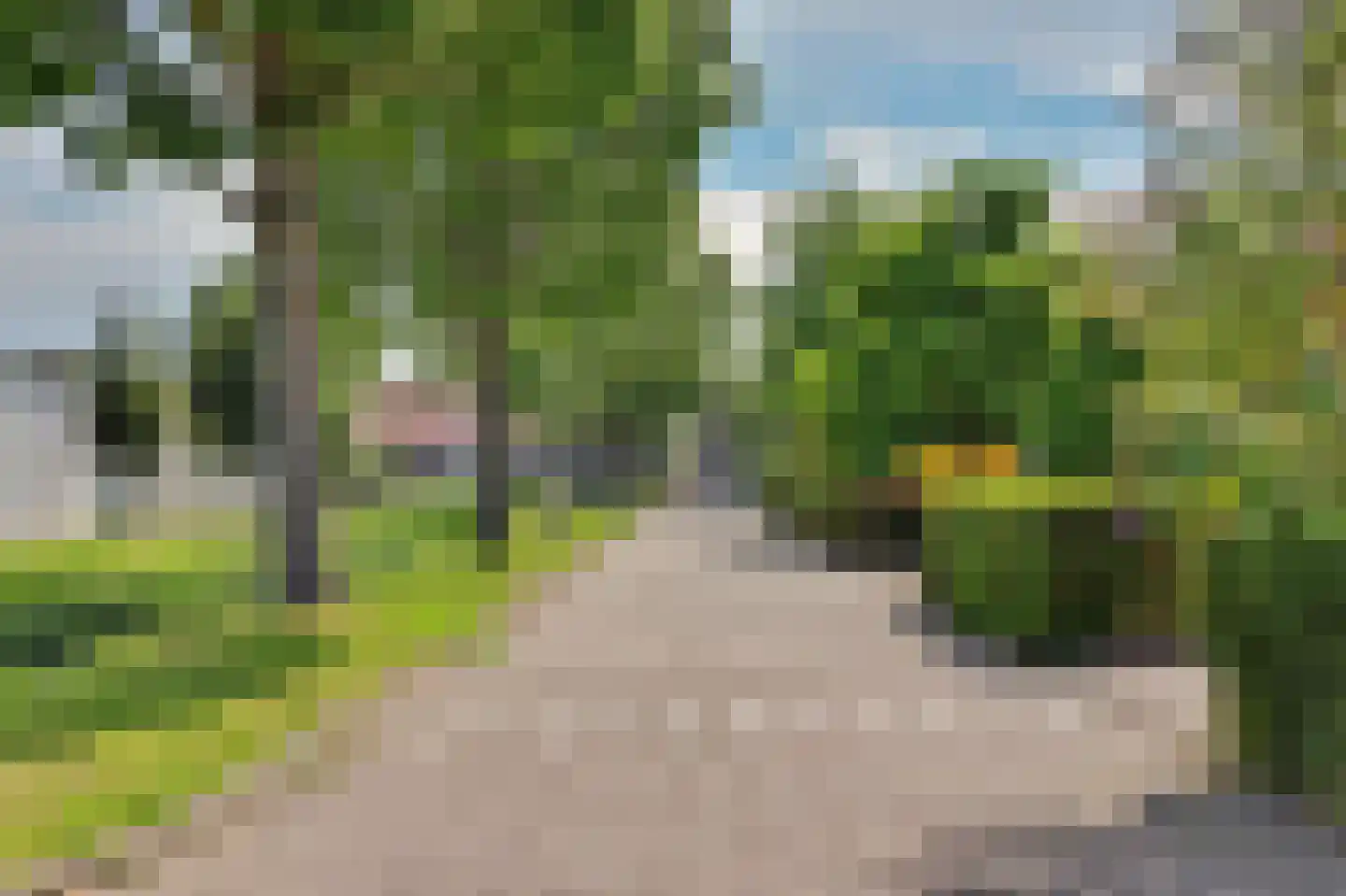 Prins Clausstraat 4 Strijen thumbnail 11