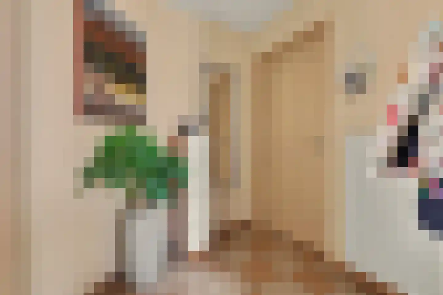 Prins Clausstraat 4 Strijen thumbnail 14