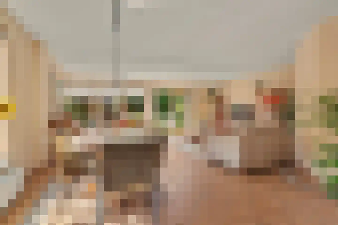 Prins Clausstraat 4 Strijen thumbnail 21