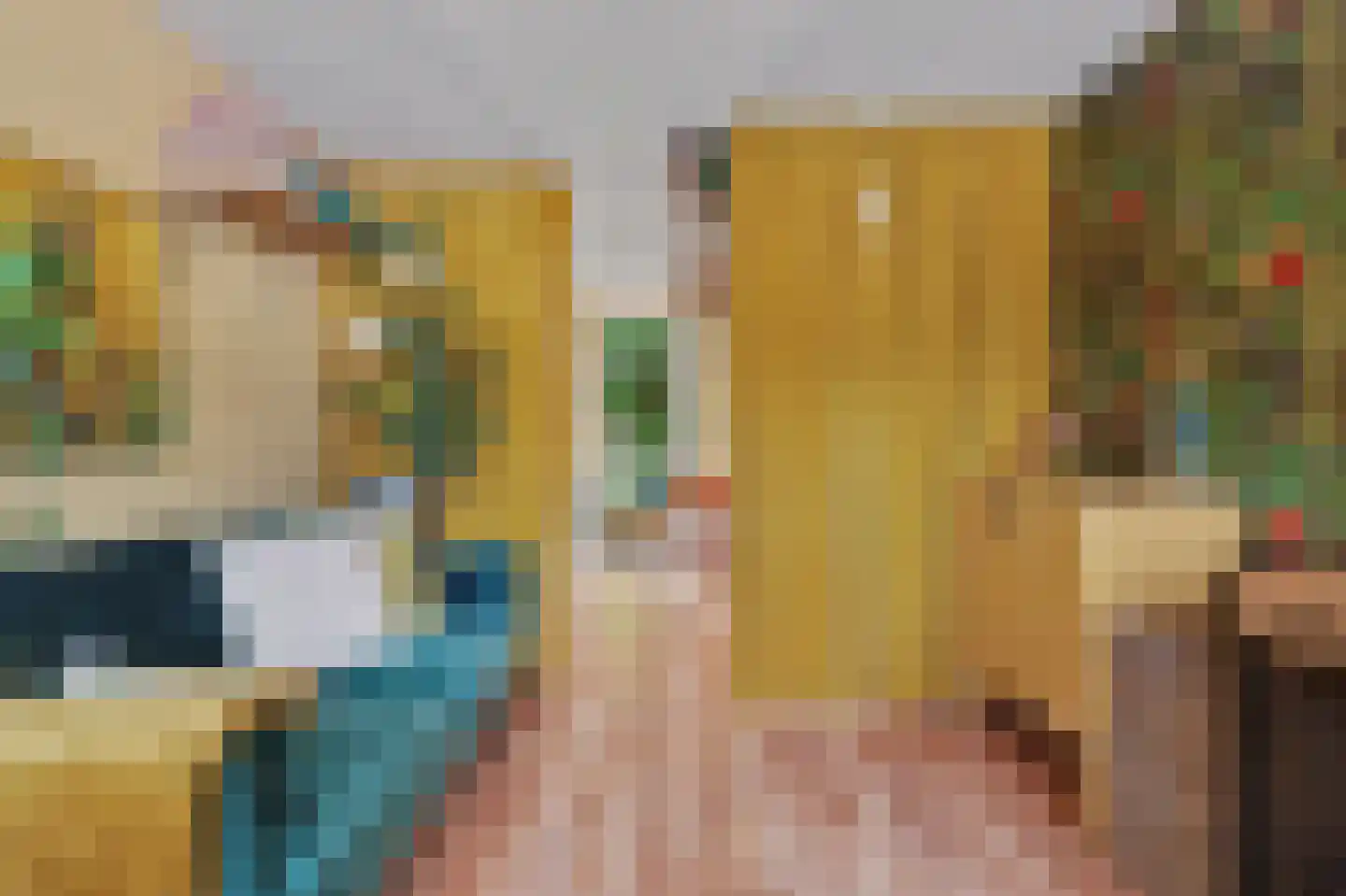 Prins Clausstraat 4 Strijen thumbnail 24