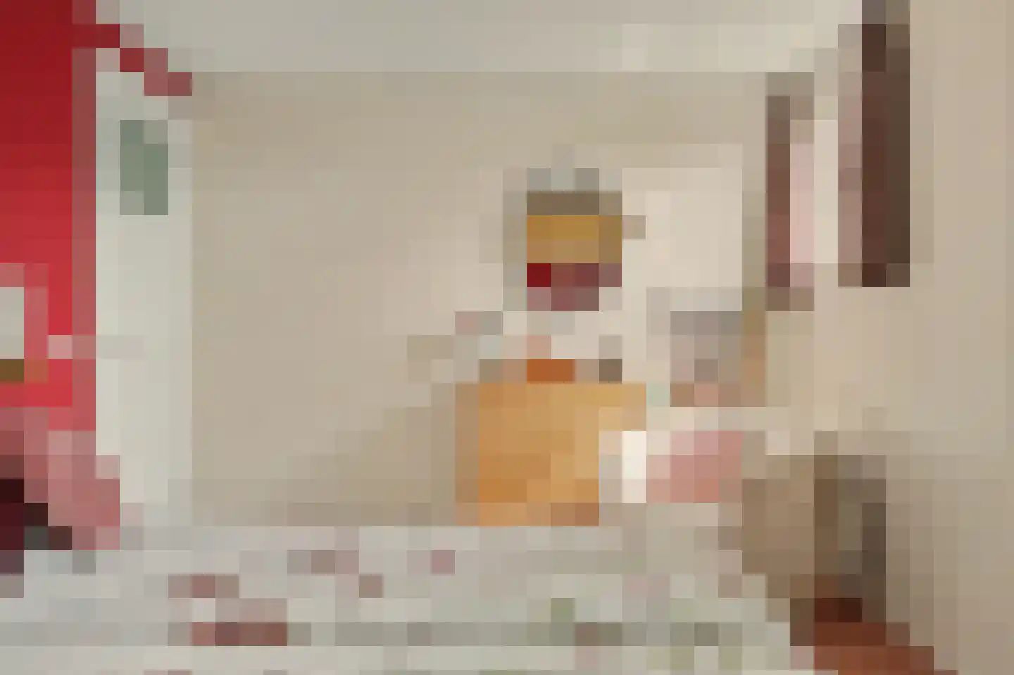Prins Clausstraat 4 Strijen thumbnail 26