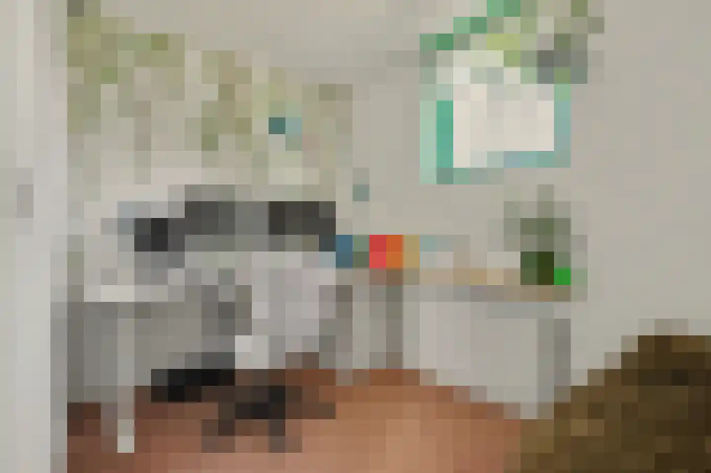 Prins Clausstraat 4 Strijen thumbnail 32