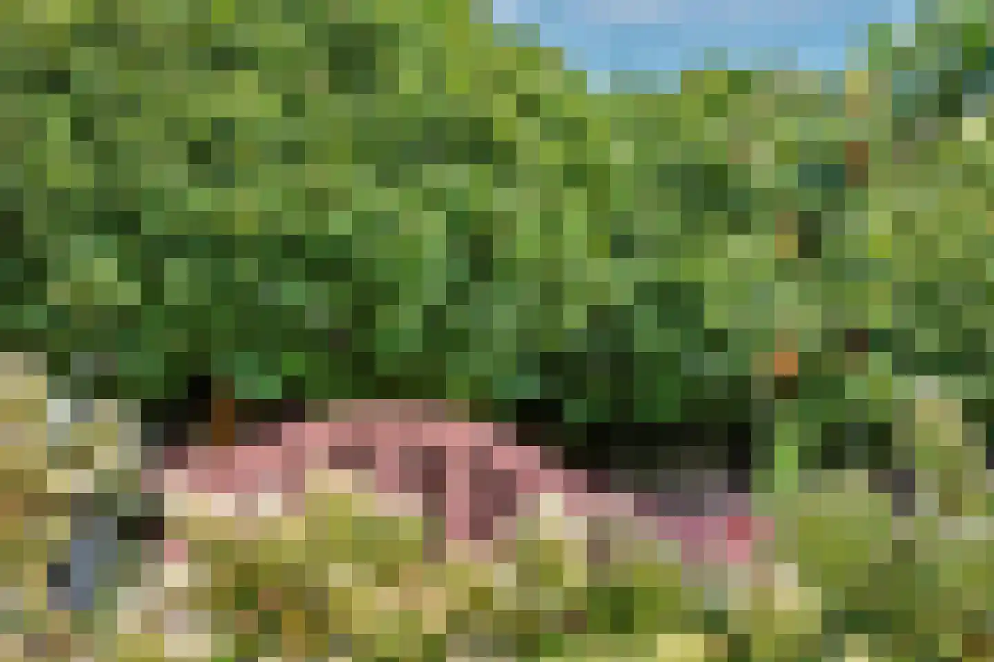 Prins Clausstraat 4 Strijen thumbnail 43