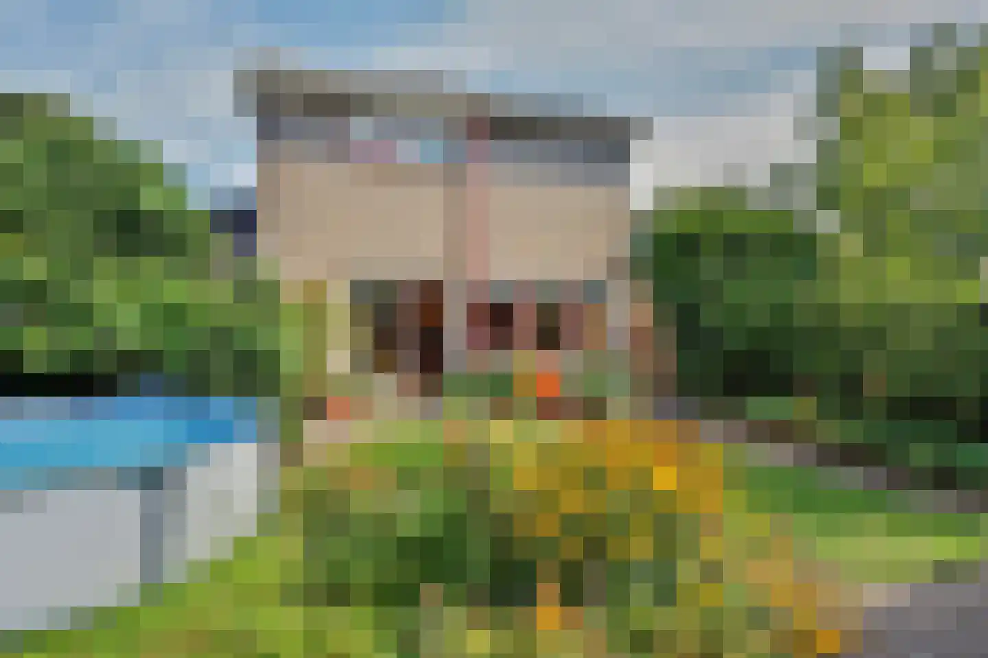 Prins Clausstraat 4 Strijen thumbnail 46