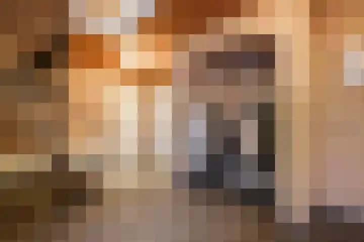 Prins Clausstraat 4 Wehl thumbnail 11