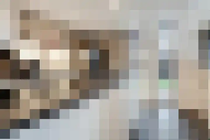 Prins Clausstraat 4 Wehl thumbnail 13