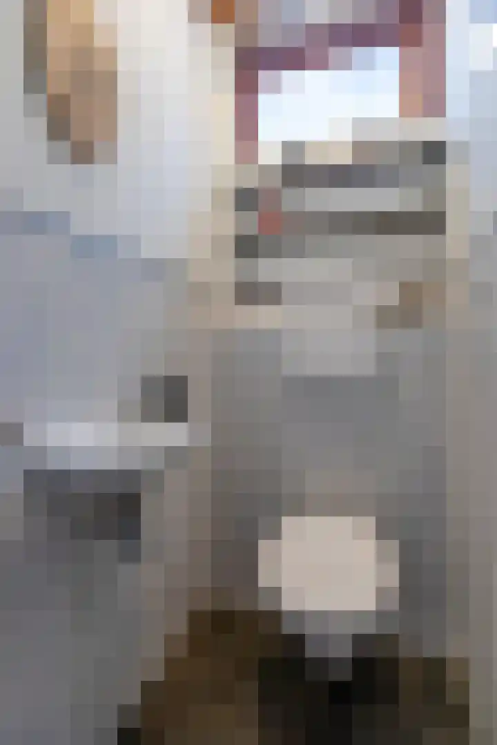 Prins Clausstraat 4 Wehl thumbnail 32