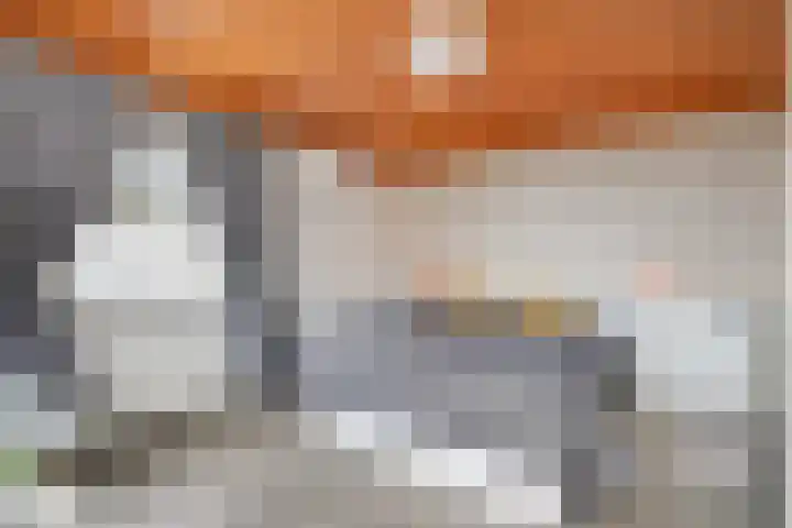 Prins Clausstraat 4 Wehl thumbnail 35