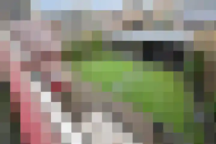 Prins Clausstraat 4 Wehl thumbnail 38