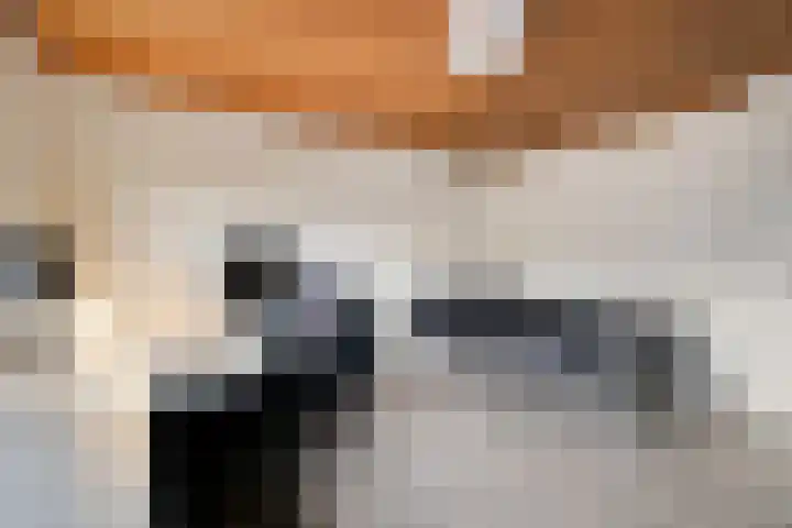 Prins Clausstraat 4 Wehl thumbnail 43