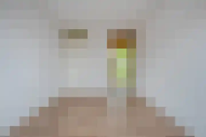 Prins Clausstraat 41 Vroomshoop thumbnail 21