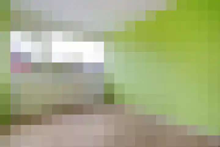 Prins Clausstraat 41 Vroomshoop thumbnail 22