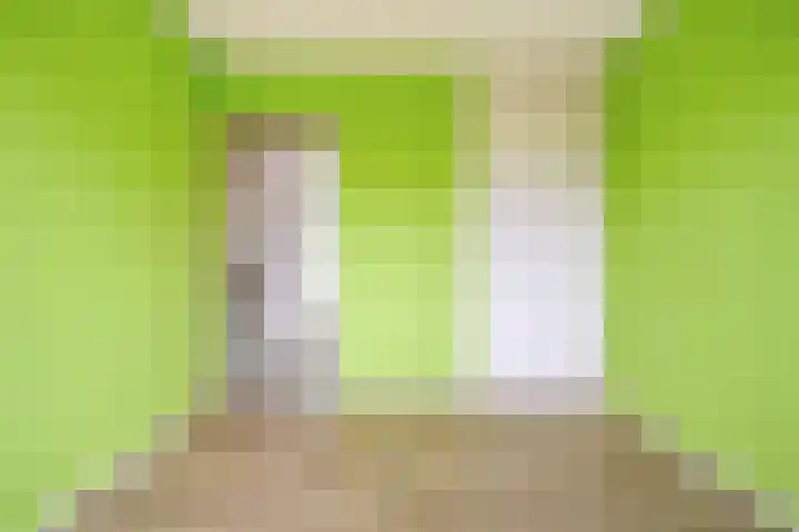 Prins Clausstraat 41 Vroomshoop thumbnail 23