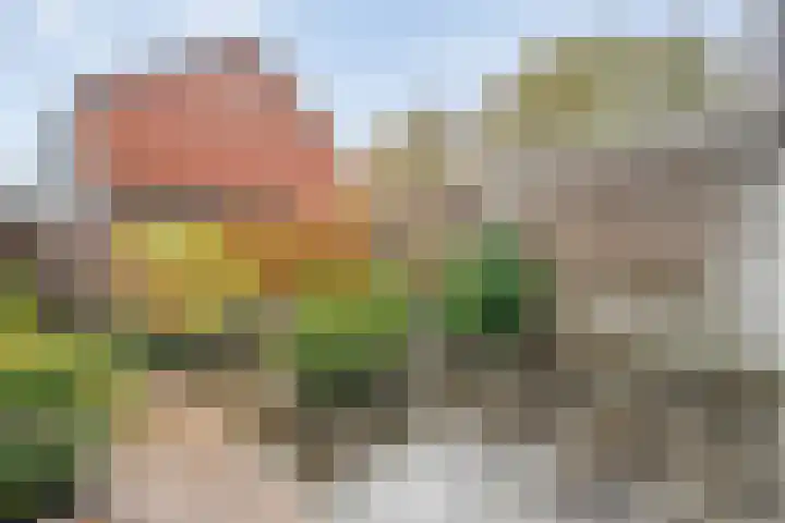 Prins Clausstraat 41 Vroomshoop thumbnail 28