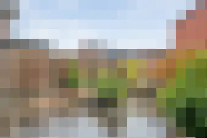 Prins Clausstraat 41 Vroomshoop thumbnail 29