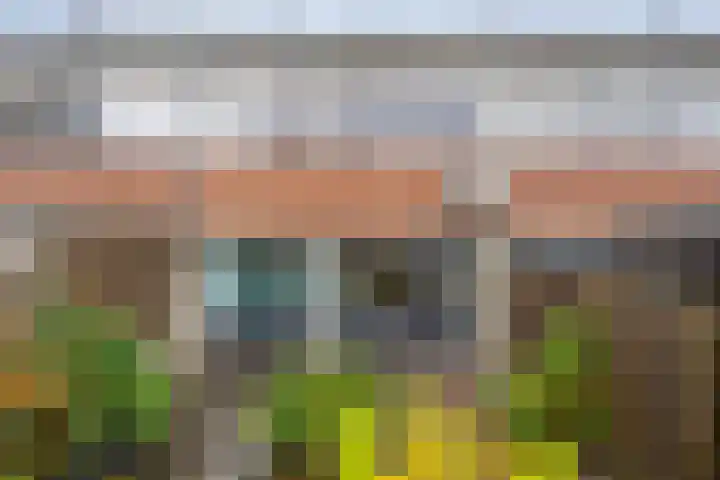 Prins Clausstraat 41 Vroomshoop thumbnail 32