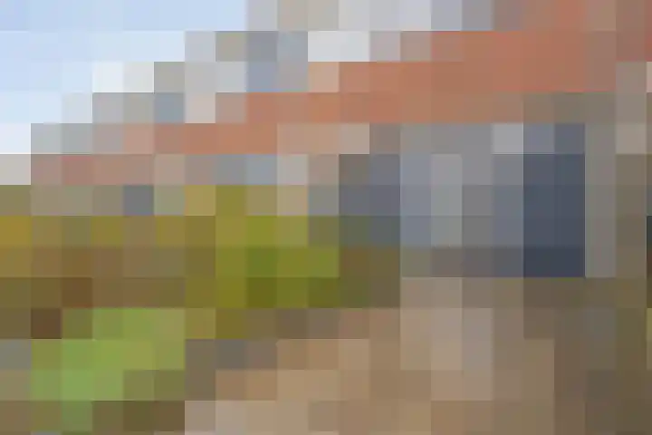 Prins Clausstraat 41 Vroomshoop thumbnail 5