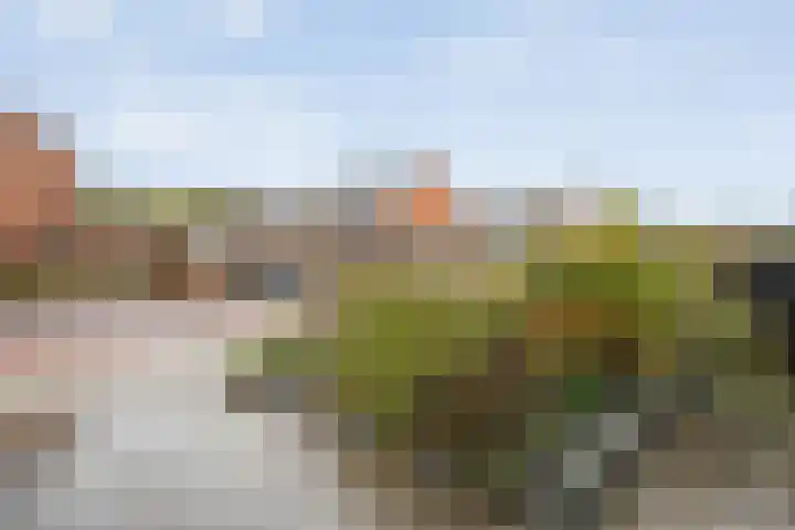 Prins Clausstraat 41 Vroomshoop thumbnail 6