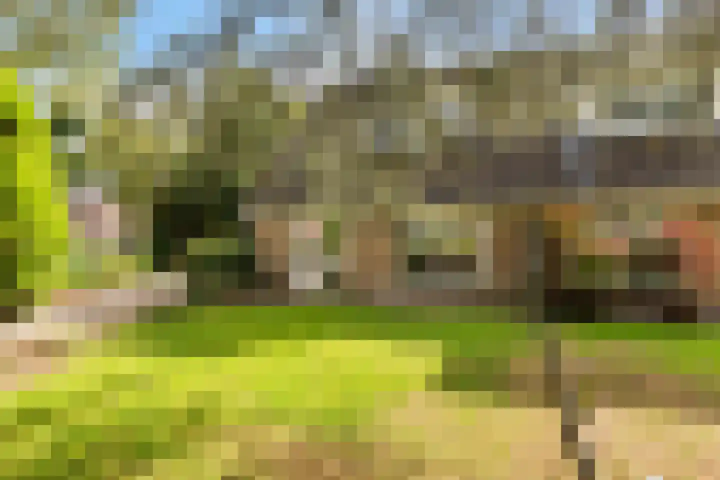 Prins Clausstraat 42 Smilde thumbnail 29