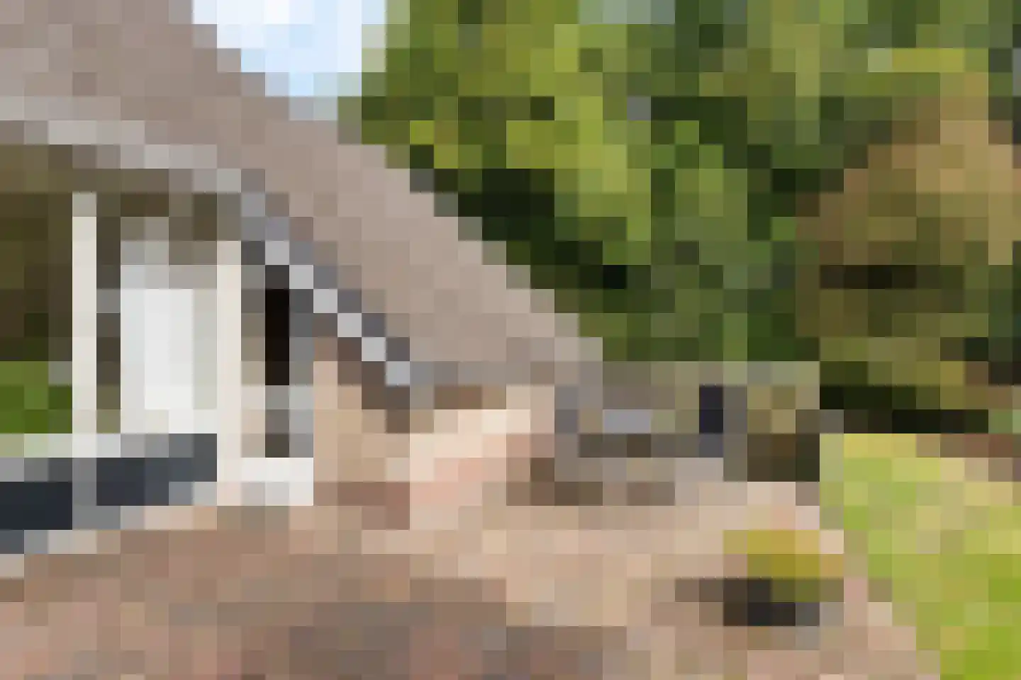 Prins Clausstraat 42 Smilde thumbnail 36