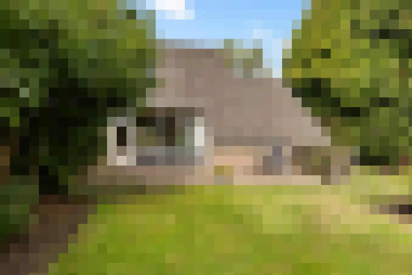 Prins Clausstraat 42 Smilde thumbnail 37