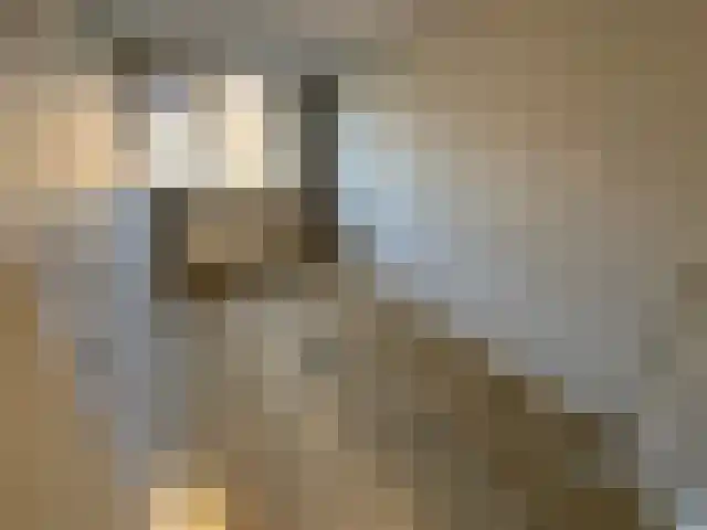 Prins Clausstraat 42 Vroomshoop thumbnail 16