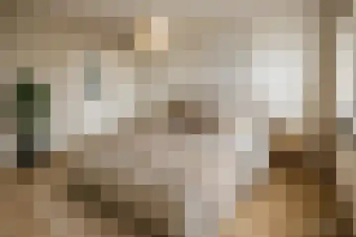 Prins Clausstraat 42 Vroomshoop thumbnail 4