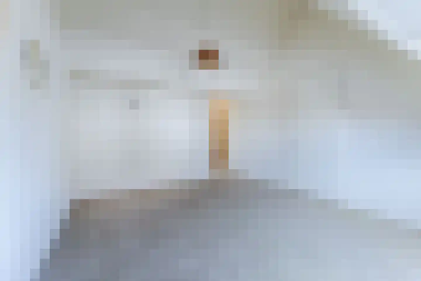 Prins Clausstraat 5 Bunschoten-Spakenburg thumbnail 21