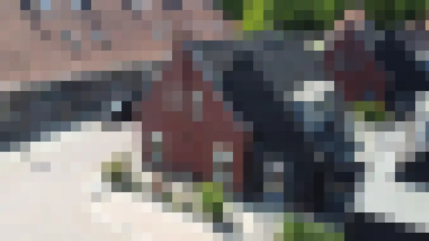 Prins Clausstraat 5 Bunschoten-Spakenburg thumbnail 28