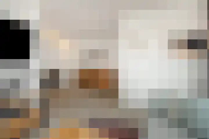 Prins Clausstraat 5 Rosmalen thumbnail 5