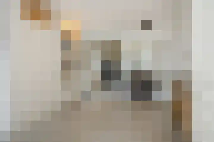 Prins Clausstraat 5 Rosmalen thumbnail 6