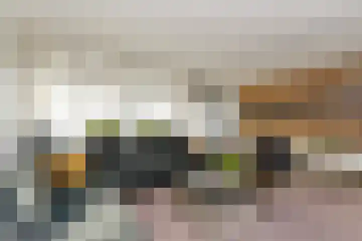 Prins Clausstraat 5 's-Gravenzande thumbnail 12