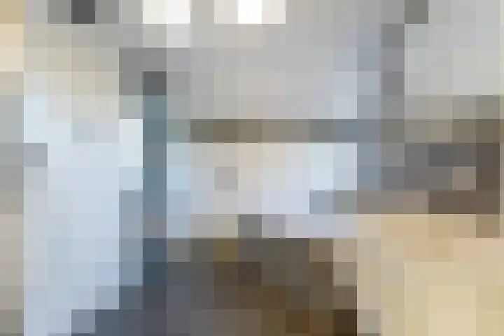 Prins Clausstraat 5 's-Gravenzande thumbnail 6