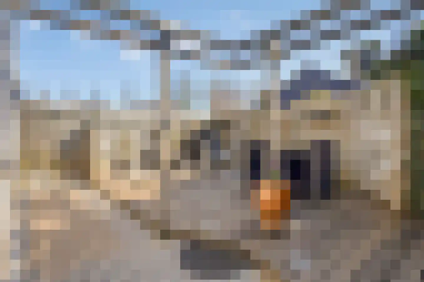 Prins Clausstraat 5 Stadskanaal thumbnail 5