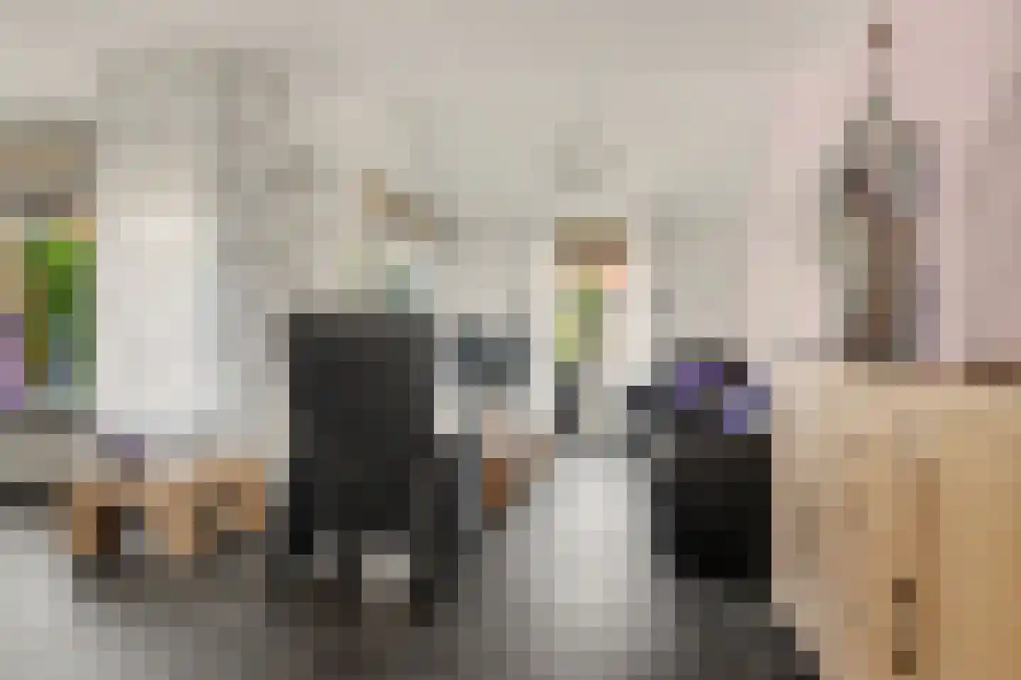 Prins Clausstraat 6 Strijen thumbnail 12