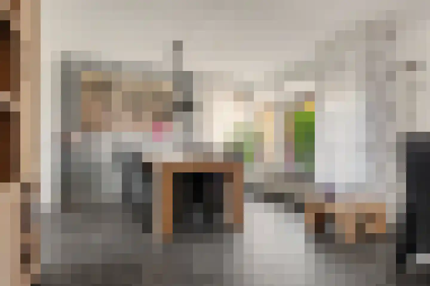 Prins Clausstraat 6 Strijen thumbnail 13