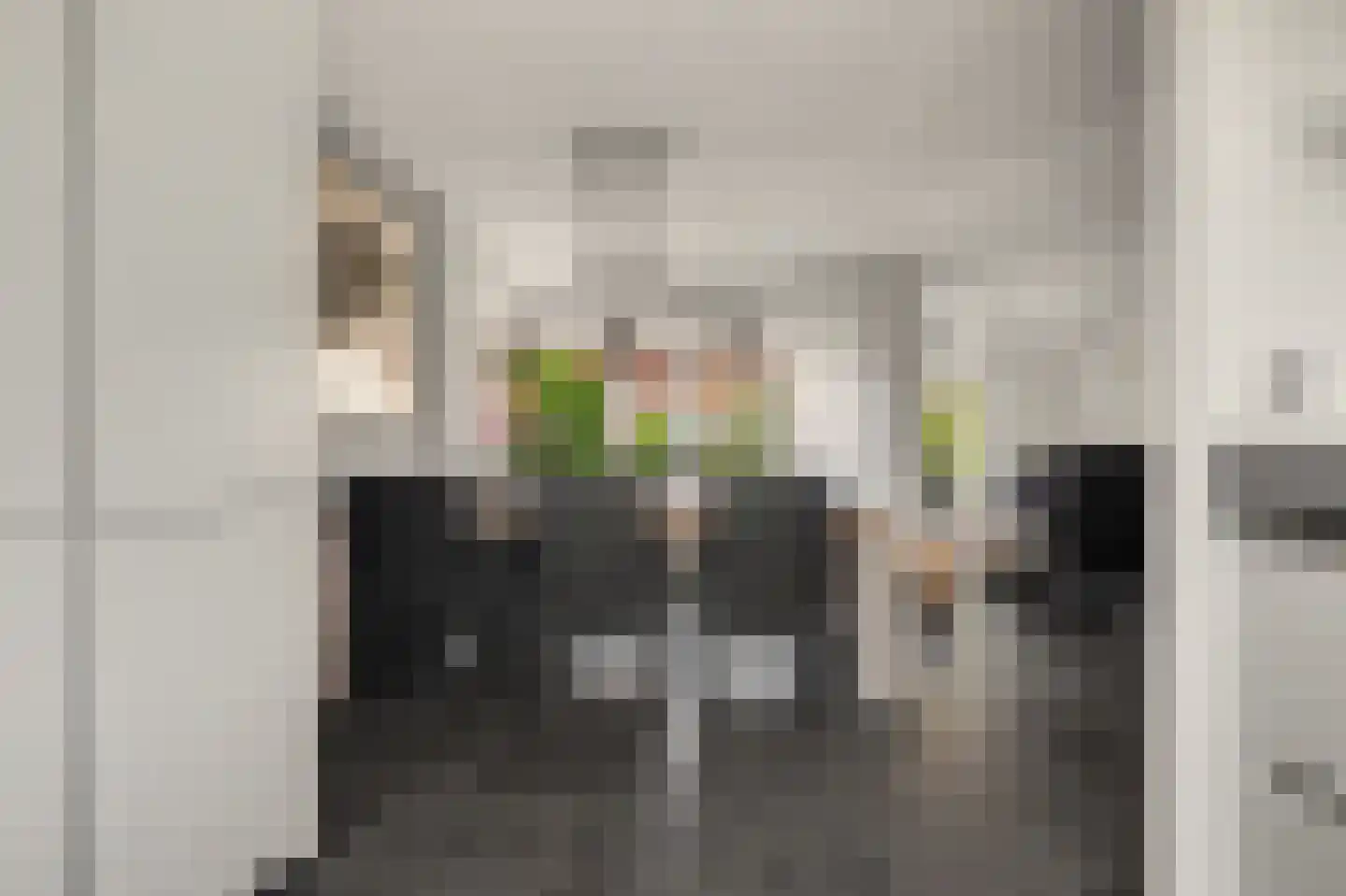 Prins Clausstraat 6 Strijen thumbnail 15