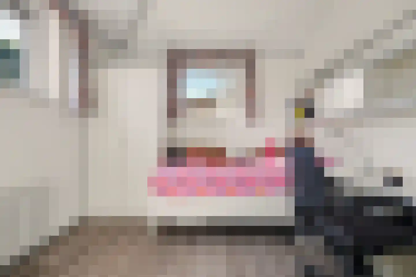 Prins Clausstraat 6 Strijen thumbnail 28