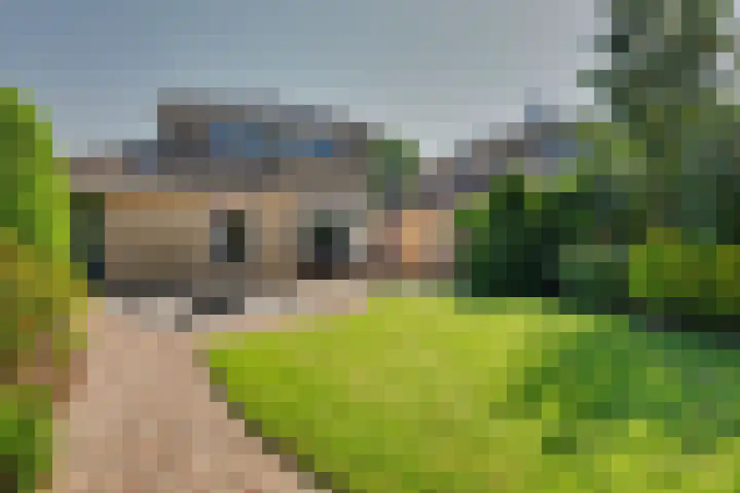 Prins Clausstraat 6 Strijen thumbnail 35