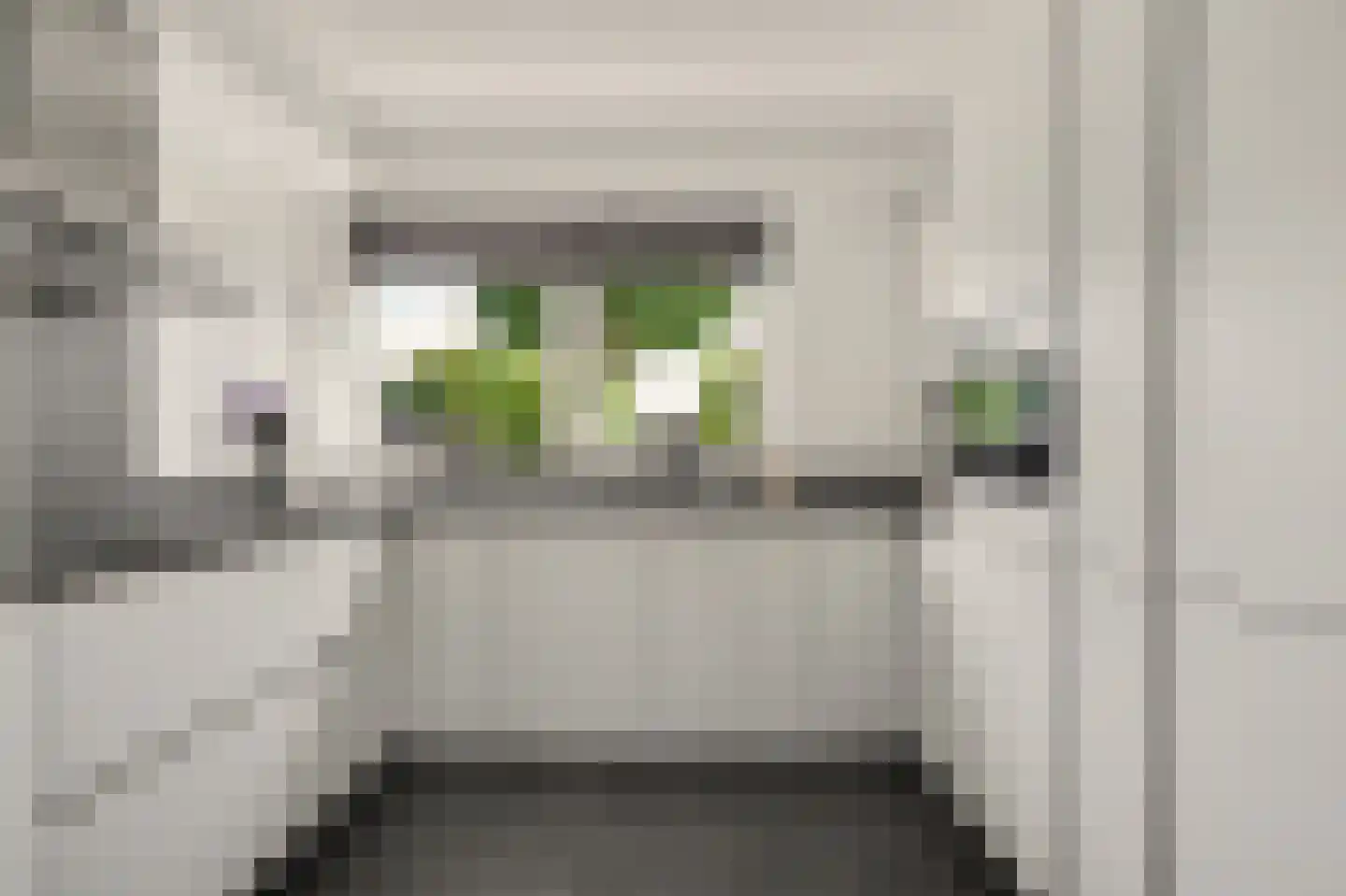 Prins Clausstraat 6 Strijen thumbnail 6