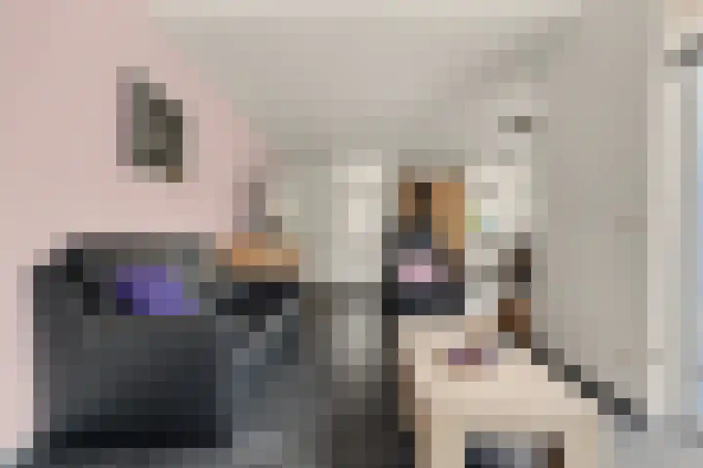 Prins Clausstraat 6 Strijen thumbnail 9