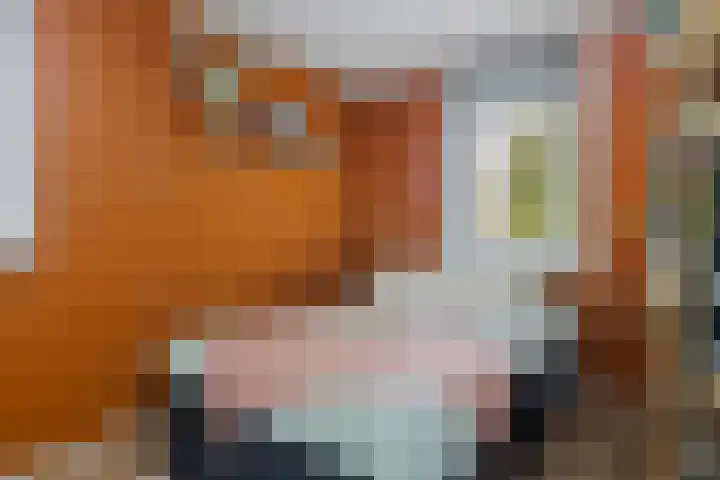 Prins Clausstraat 61 Smilde thumbnail 5