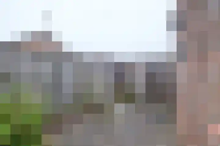 Prins Clausstraat 63 Genemuiden thumbnail 33