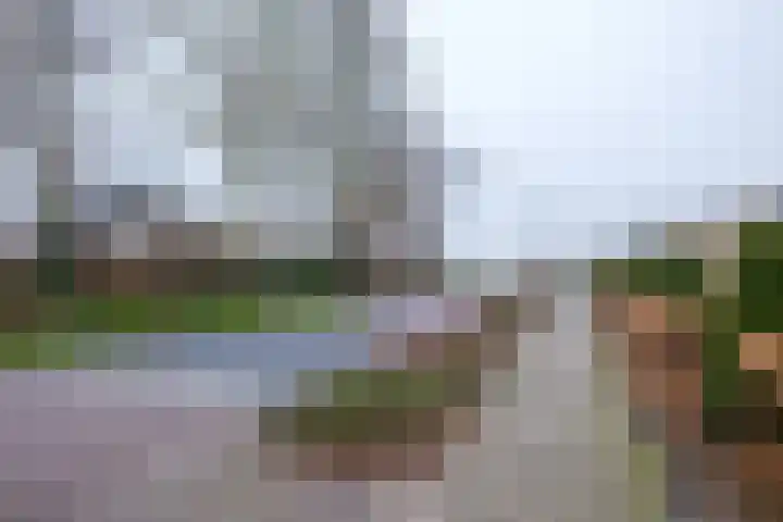 Prins Clausstraat 63 Genemuiden thumbnail 40